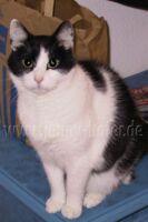 Foto: Jerry 2007